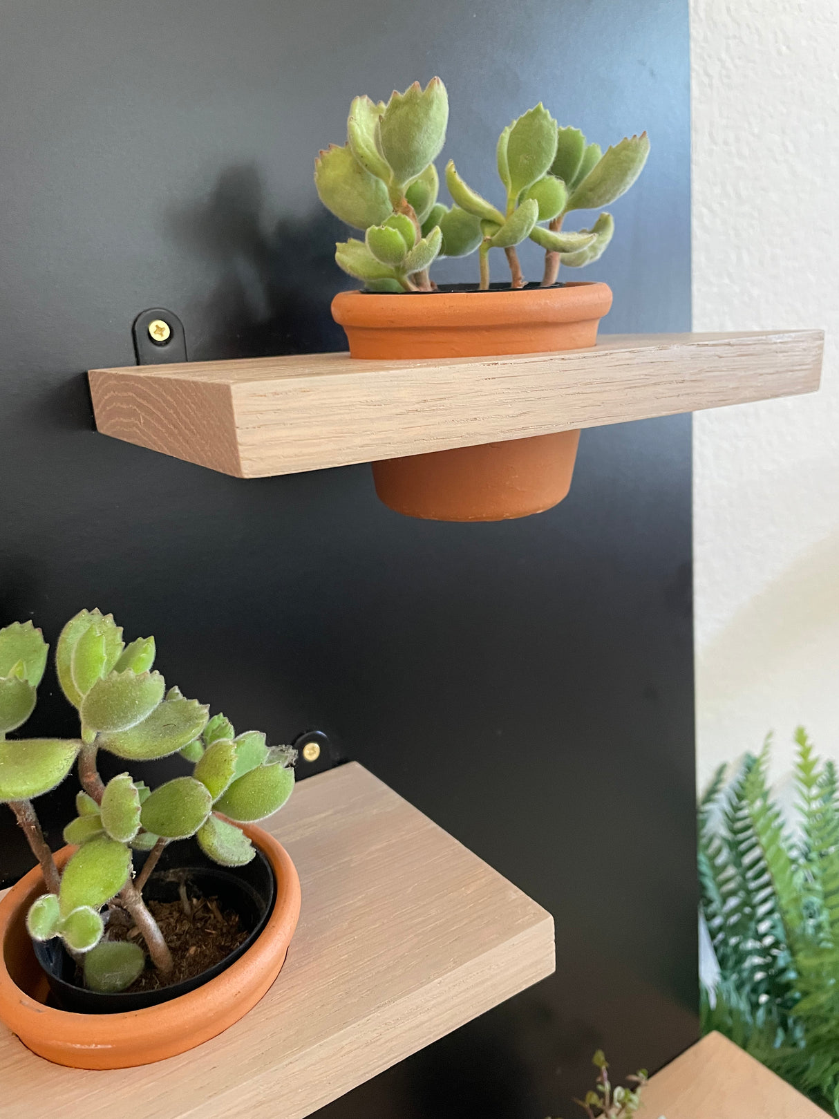 Plant Pot Holder Shelf, Multiple Sizes