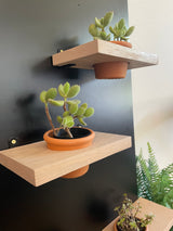 Plant Pot Holder Shelf, Multiple Sizes