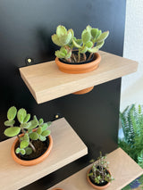 Plant Pot Holder Shelf, Multiple Sizes