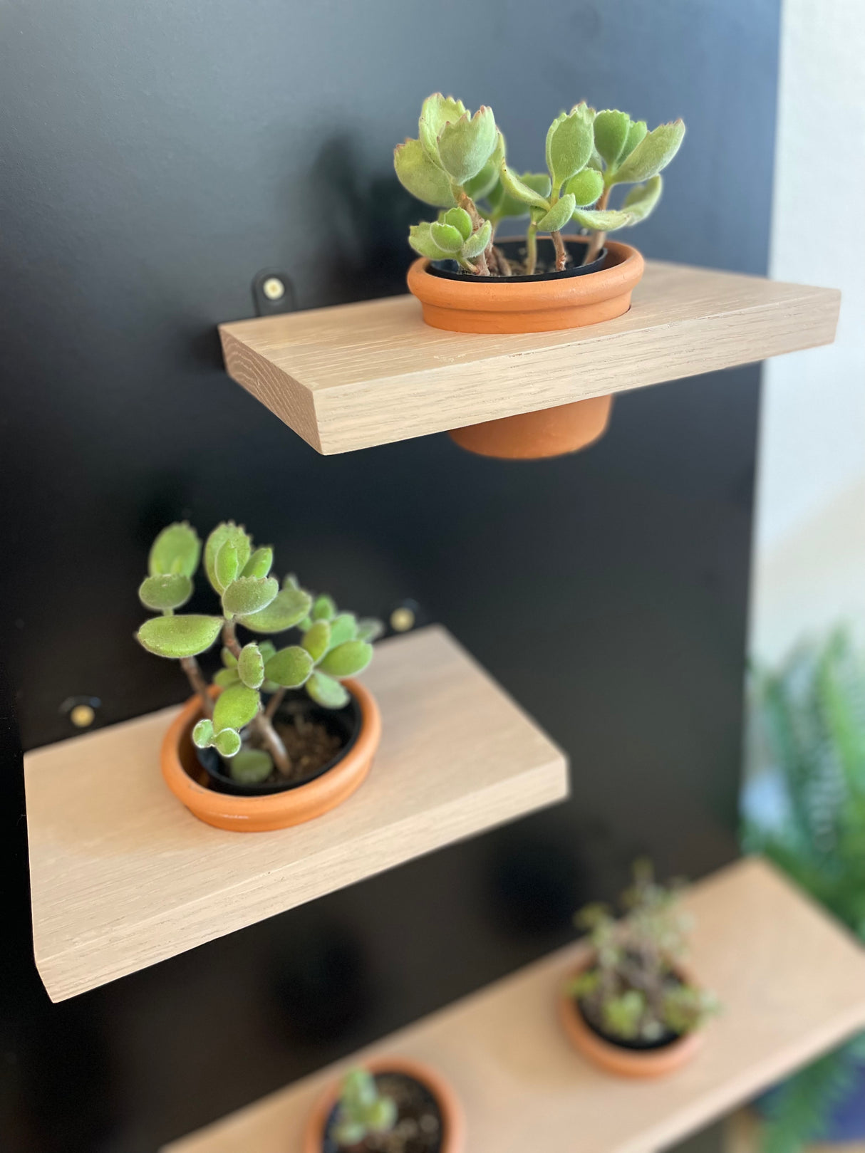 Plant Pot Holder Shelf, Multiple Sizes