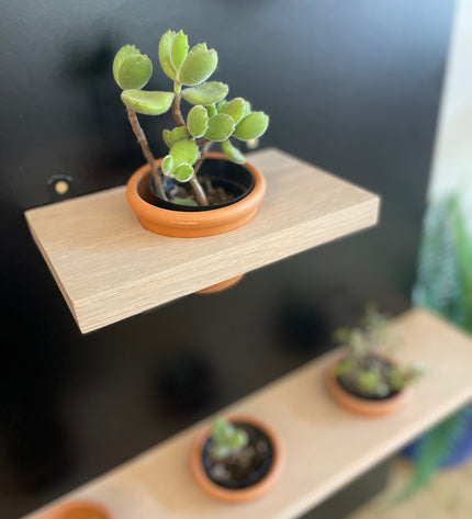 Plant Pot Holder Shelf, Multiple Sizes
