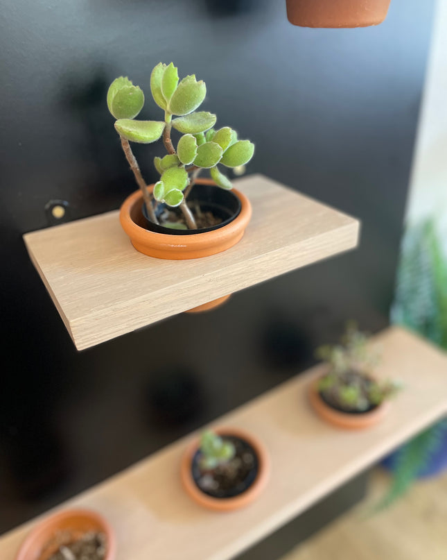 Plant Pot Holder Shelf, Multiple Sizes