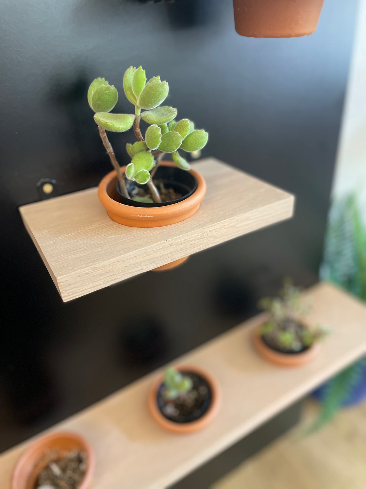 Plant Pot Holder Shelf, Multiple Sizes